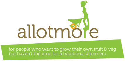 allotmore: for people who want to grow their own fruit & veg but haven’t the time for a traditional allotment